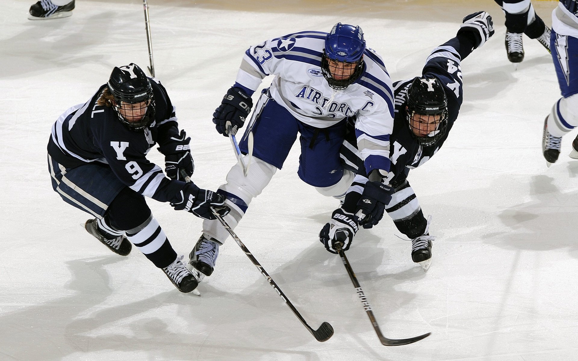 黄蜂之刺与绿军之盾,欧冠淘汰赛的宿命对决